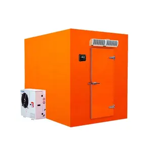 Small Chambre Froide Powered Saved Refrigeration Cold Storage Modular Cold Room for Flower and Vegetable and Food Storage