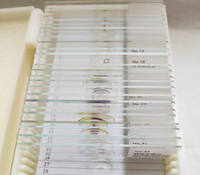 Individual Slide Ascaris Lumbricoides Eggs Parasitology Prepared Slides