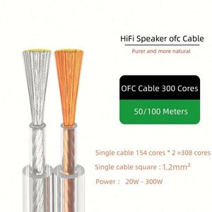 Câble de haut-parleur plat double cœur transparent Hifi OFC en argent pour home cinéma, vente en ligne, produit phare - Product Image 1