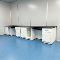 Fabrication de bancs de travail de laboratoire chimique industriels de haute qualité avec robinets et supports pour réactifs pour une utilisation en milieu hospitalier et en entrepôt