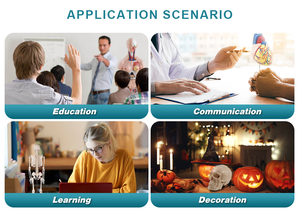 <span class=keywords><strong>Mannequin</strong></span> d'auscultation cardio-pulmonaire féminin CE ISO, torse d'entraînement médical pour l'enseignement des sons cardiaques et pulmonaires en soins infirmiers - Product Image 3