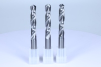 En stock Foret hélicoïdal à queue droite à 2 cannelures pour maquillage de précision