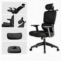 Chaise de bureau ergonomique moderne pour la maison, chaise d'apprentissage en maille pour e-sport, accoudoirs réglables en hauteur, base en acier inoxydable