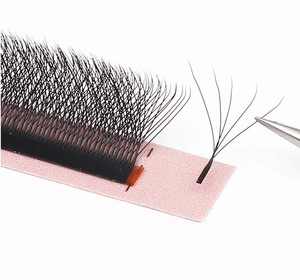 5D <span class=keywords><strong>W</strong></span> lông mi dễ dàng Fan lông mi mở rộng bán sỉ <span class=keywords><strong>Y</strong></span> PREMADE khối lượng 12 Hàng <span class=keywords><strong>W</strong></span> phong cách tự nhiên mềm Private Logo - Product Image 2