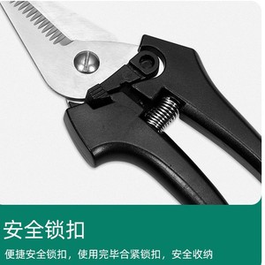 Sécatrices en acier inoxydable noires robustes, outil de jardin pour cueillir les fruits - Product Image 2