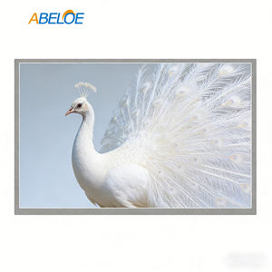 Module TFT IPS BOE DV190FBM-NB0 19,1 pouces 1920×360, écran LCD étiré 300cd/m² LVDS 30 broches - Product Image 3