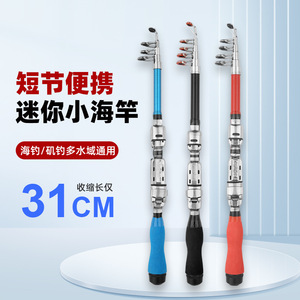 Mini Sea Rod 31cm Telescopic Ultra-light Surf Fishing Rod For Saltwater Fish Multi-Use - Product Image 1