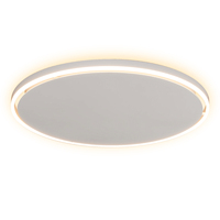 Design élégant Panneau chauffant rond monté au plafond Chauffage graphène Lumières LED en option