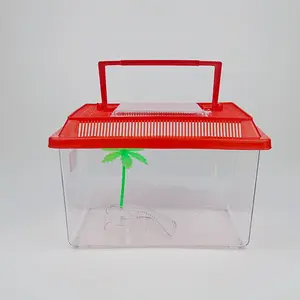 Rettile e granchio eremita fornisce scatola di plastica con coperchio e manico con accessorio per palma