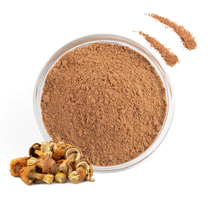 Extracto de hongo <span class=keywords><strong>Agaricus</strong></span> Blazei Murrill en polvo al por mayor - Product Image 2