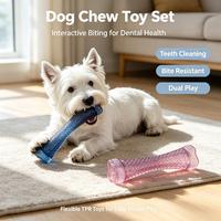Jouet à mâcher pour chien en TPR transparent, résistant à l'eau, facile à nettoyer, résistant aux morsures, jouet interactif pour animaux de compagnie
