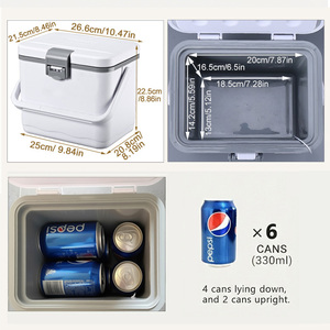Caja Refrigeradora Portátil de 5L para Transporte de Vacunas y Sangre, de 2-8 Grados, con Termómetro, Material PP, Apta para Alimentos - Product Image 2