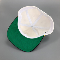 Brim Broderie Patch Snapback Chapeau Casquettes Impression Colorée Plat Broderie logo Snapback Chapeaux Caps5 Panneau Cap