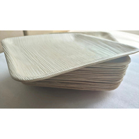 Plaques de bambou jetables en feuille de palmier Areca biodégradables de 10 pouces personnalisées en gros