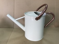 Ensembles d'arrosages vintage en laiton et acier galvanisé 7,5 L, revêtement en poudre durable Jiangsu W3006 pour la maison, le jardin et l'extérieur
