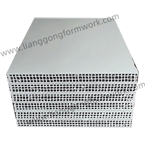 Materiales de construcción de alta calidad para la construcción de casas, tablero hueco, moldes de hormigón, paneles huecos de plástico PP para la construcción - Product Image 2