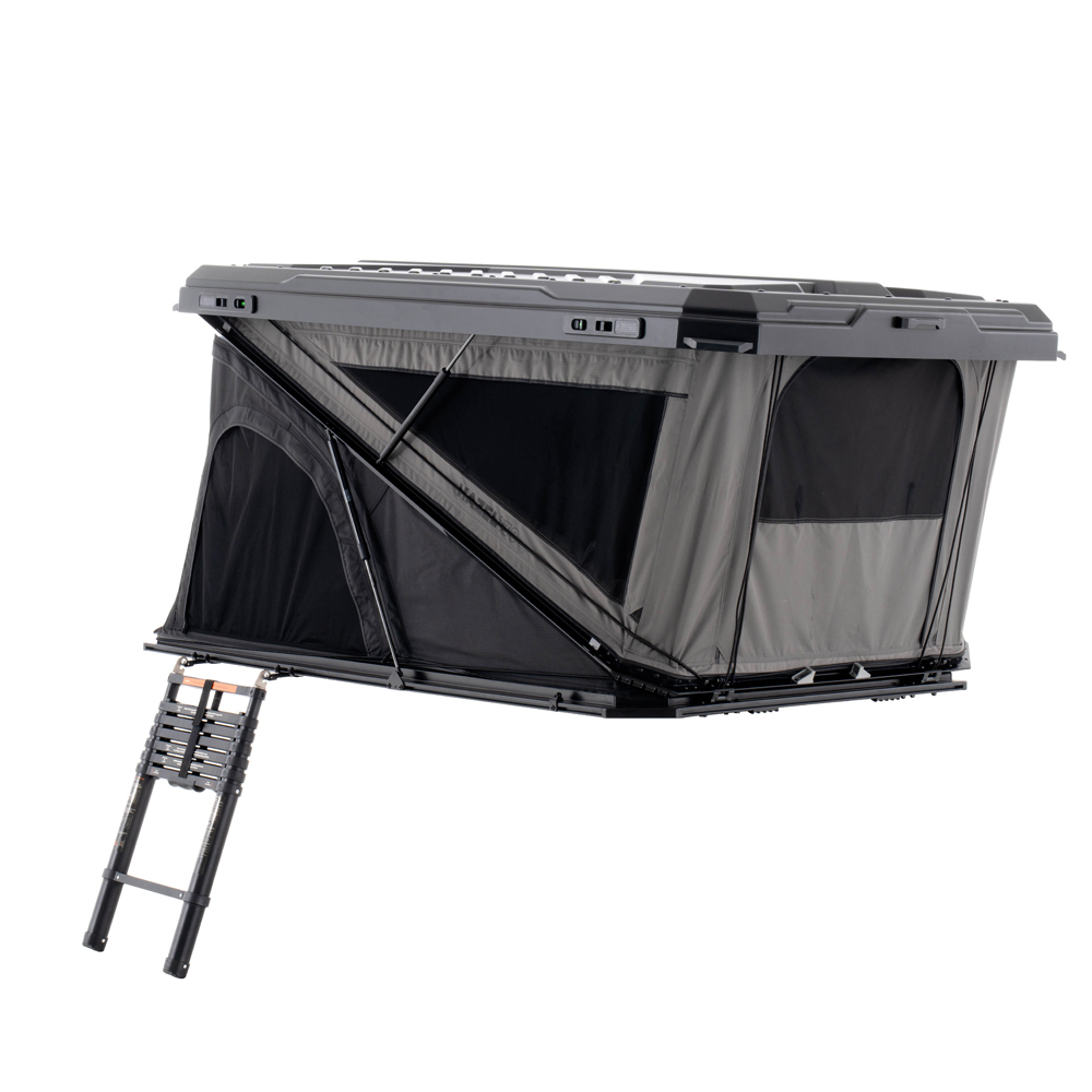 Gris foncé et noir