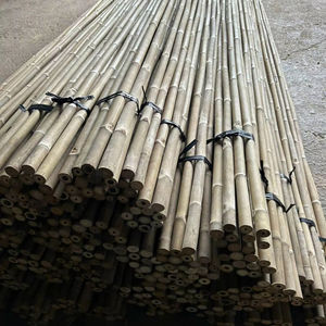 Piquets de jardin en bambou Tonkin de qualité supérieure, écologiques, pour le soutien des plantes agricoles, vente en gros - Product Image 1