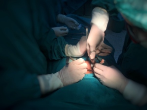 Gants stériles médicaux en <span class=keywords><strong>nitrile</strong></span> bleu 8 mil pour salle d'opération et infirmières, boîte de 50 - Product Image 5