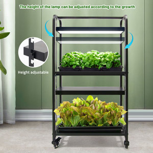 <span class=keywords><strong>Support</strong></span> <span class=keywords><strong>en</strong></span> fer pour kit de culture hydroponique de plantes d'intérieur et de jardin avec lumières LED, <span class=keywords><strong>hauteur</strong></span> <span class=keywords><strong>réglable</strong></span>, roues mobiles et <span class=keywords><strong>jardinière</strong></span> moderne pour légumes - Product Image 6