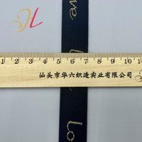 Bande élastique brillante en nylon et polyamide jacquard de 20 mm et 30 mm avec logo personnalisé pour sous-vêtements
