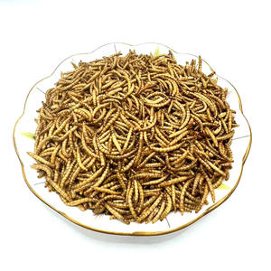 Vermi della farina essiccati ad alto contenuto proteico per uccelli cani pescano criceti e altro ancora-dolcetti per animali domestici con vitamine e minerali - Product Image 1