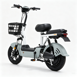 Bicicletta <span class=keywords><strong>Elettrica</strong></span> da Città 14 Pollici, Motore 350W 48V, Telaio in Acciaio, Batteria al Piombo-Acido, Scooter per Trasporto Merci, 40-60km/h - Product Image 6
