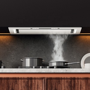 <span class=keywords><strong>Campana</strong></span> <span class=keywords><strong>Extractora</strong></span> Empotrada en Pared OEM, <span class=keywords><strong>Plana</strong></span>, de Aluminio, para Uso Doméstico y Hotelero, Controlada por Aplicación, Precio Competitivo - Product Image 1