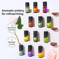 Extraits naturels de plantes d'huile essentielle soluble dans l'eau de longue durée de 5ml avec produit d'aromathérapie au parfum intense