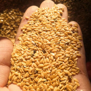 Semi di lino giallo dorato produzione professionale ad alto contenuto proteico fornitura prezzo di semi di lino - Product Image 4