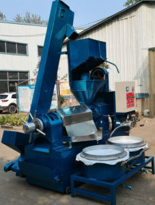 Chất lượng cao lạnh và nóng Báo Chí dầu máy ép đậu phộng mè nấu ăn dầu Báo Chí dầu đậu nành khai thác máy - Product Image 5