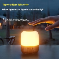 Mini lampe de table personnalisable pour dortoir Corps en ABS Chargement sans fil Contrôle tactile Protection des yeux Chevet de l'usine