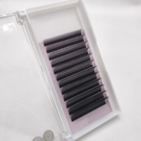 Nouveauté Extensions de cils 4D en forme de U Naturelles Douces 4D W Cils Premium en vison brésilien Cilios Facile à greffer