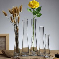 Vase en verre transparent de luxe, petit vase pour plantes hydroponiques, terrarium, décoration de table, décoration de la maison, décoration de mariage