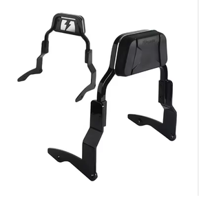 Mini Sissy Bar Compatibile con <span class=keywords><strong>Moto</strong></span> Touring HD dal 2014 in Poi, Schienale Passeggero a Profilo Ribassato, Accessori <span class=keywords><strong>per</strong></span> Road Glide e Street Glide - Product Image 5