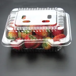 fruit packaging box disposable transparent plastic clamshell fruit fresh keeping packaging box