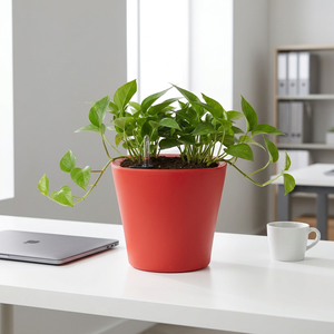 Pot de fleurs auto-arrosant en plastique de couleur personnalisée avec indicateur de niveau d'eau pour plantes vertes de bureau, design minimaliste, grande taille - Product Image 1