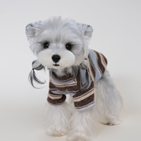 Pull rayé pour chien, doux et chaud, col roulé mi-haut, pour petits chiens, vêtements pour animaux de compagnie automne-hiver