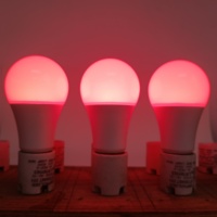 Ampoule LED rouge 670 nm à intensité variable, sans scintillement, lampe de soutien au sommeil, 120 V, A19, E26, ETL, FCC