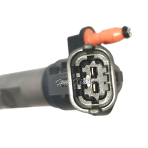 Haoxiang Auto Part Injecteur de carburant de haute qualité 0445116059 pour <span class=keywords><strong>IVECO</strong></span>/FIAT 3.0D - Product Image 3