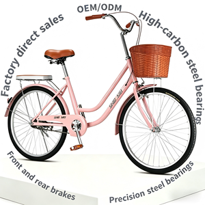 <span class=keywords><strong>Vélo</strong></span> de ville robuste pour femmes en acier à haute teneur en carbone de <span class=keywords><strong>24</strong></span>/26 <span class=keywords><strong>pouces</strong></span>, équipé de freins avant <span class=keywords><strong>et</strong></span> arrière, avec panier <span class=keywords><strong>et</strong></span> dossier - Product Image 1