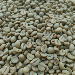 Grains de café vert Arabica biologique Taille 16 Grade A A+ Marque TNFOOD 100% naturel Exportation en vrac depuis l'usine du Vietnam - Product Image 2