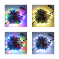 Guirlande lumineuse LED à pixels en gros, RGB, pleine couleur, programmable, module LED DC12V WS2811, étanche, lumières de Noël intelligentes à pixels