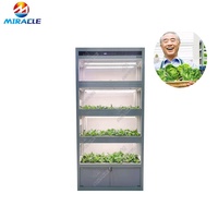Système hydroponique intelligent de culture, 30 m, équipement hydroponique pour plantation