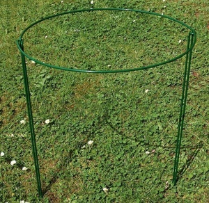 Piquets de plantes en métal, Supports de plantes <span class=keywords><strong>pour</strong></span> arc grimpant, <span class=keywords><strong>pour</strong></span> <span class=keywords><strong>fleurs</strong></span>, roses et tomates - Product Image 3