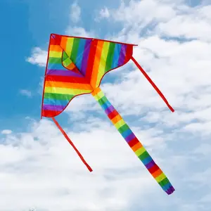 Regenboog Driehoek Vlieger