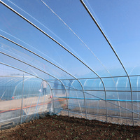 Grande serre tunnel agricole à simple travée avec système hydroponique, ventilation manuelle/électrique, installation facile pour