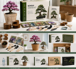 DIY Eco-Friendly <strong>Bonsai</strong> <strong>Tree</strong> Kit Customized Pots Stands Modern Small Indoor/Outdoor Use Desktop Display Various <strong>Seeds</strong> - Product Image 1
