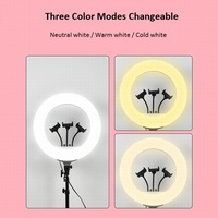 Éclaircissement de la peau 22 pouces Ringlight Beauty Selfie Photography Fill Lamp Led Ring Light avec trépied et support pour téléphone