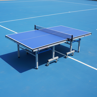 Table de ping-pong d'intérieur pliable, panneau standard, mobile avec roues et balles